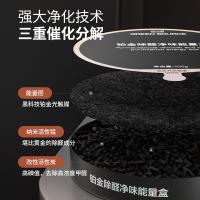 绿之源（GREEN SOURCE） 第三代铂金除醛净味  活性炭 空气净化剂 100g*2 黑色（单位：组）