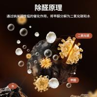 绿之源（GREEN SOURCE） 第三代铂金除醛净味  活性炭 空气净化剂 100g*2 黑色（单位：组）