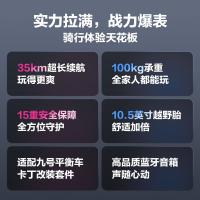 九号（Ninebot） Mini PRO2 平衡车 265*553mm（单位：台）