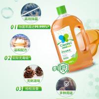 净安（Cleafe）季铵盐消毒液1L（单位：瓶）