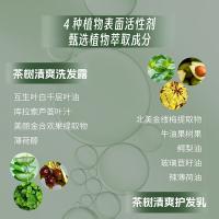 天然之扉 茶树系列 洗发水 532ml 白色（单位：瓶）