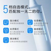 松下（Panasonic） DC31 电动牙刷 续航时间约140天 蓝色（单位：支）