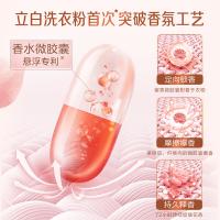立白（Liby） 大师香氛粉 洗衣粉 1.65kg 粉色（单位：袋）