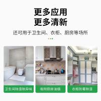 绿之源（GREEN SOURCE） 除湿剂 空气净化剂 130*65*32mm 白色（单位：盒）