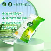 滴露（Dettol） 杀菌 卫生湿巾 10片*8包 (单位:组) 新老包装随机