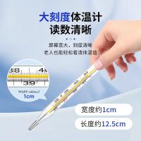 海氏海诺 玻璃体温计 内标式腋下型（大号） （单位：支）
