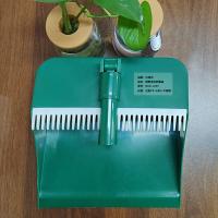 贝格帝 BGD-LX35 清扫组合 两件套 绿色(单位：套）扫把*1、簸箕*1