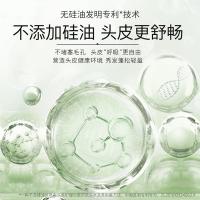 滋源（seeyoung）洗头水 无患子保湿滋养 535ml（单位：瓶）