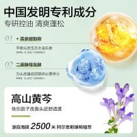 柏缇（POTE）植酵控油舒缓洗发露520ml（单位：瓶）