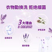 奇强（keon）持久留香薰衣草洗衣液洁净去污2kg（单位：瓶）