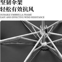 典小圣 DXS-YS10 晴雨伞 均码 （单位:把） 颜色随机