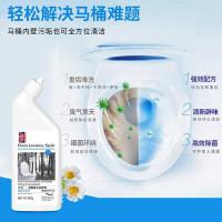 羽鹊 强力洁厕剂 500g (单位:瓶)