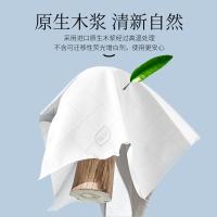 植护 气垫挂抽纸 ZH305760N4 155mm*175mm*280抽/提*4提 (单位:箱)