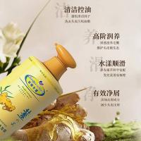 琴叶 生姜祛屑洗发水 P102 1L (单位:瓶)