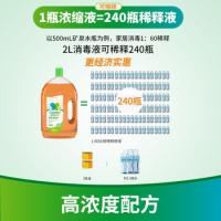 净安（Cleafe） 消毒液 柏松淡香 2L (单位:瓶)