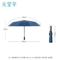 天堂 30975E 晴雨伞 全自动黑胶款 蓝色（单位：把）