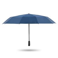 天堂 30975E 晴雨伞 全自动黑胶款 蓝色（单位：把）