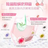 立白（Liby） 除菌去渍 内衣专护洗衣液 480g 粉色（单位：瓶）