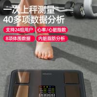 沃莱 FG2016LB 体脂秤 5-180kg 灰色（单位：个）