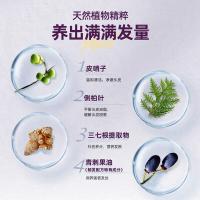 养元青（YANGYUANQING） 养元青头皮护理洗发乳 控油强韧 500ml (单位:瓶) 新老包装随机发货