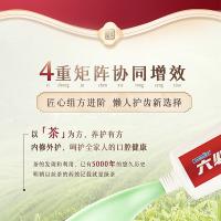 六必治 六效护龈牙膏 茉莉薄荷 180g (单位:支)