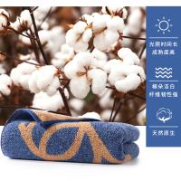 洁玉 长绒棉毛巾2条装 醉奢华 J1028F 34*74cm*2 (单位:套) 蓝+灰