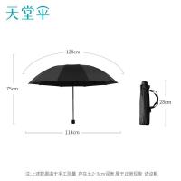 天堂伞 31125E独具一格 三折晴雨伞 64cm*10k （单位：把）颜色随机