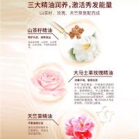 舒蕾 10123 山茶花去屑莹亮滋养洗发水 500ml （单位：瓶）新老包装随机发货