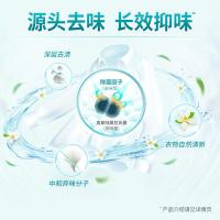 蓝月亮 除菌去味洗衣液 橙花香 500g（单位：袋）