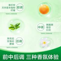 滴露（Dettol） 茉莉绿茶清香 沐浴露 950g 灰绿色（单位：瓶）