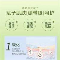 绿色溪谷 茶树舒爽 沐浴露 700g （单位:瓶）