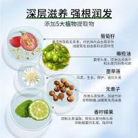 100年润发（CENTAINE）水润丝滑 氨基酸滋润防干枯毛躁发膜百年润发精华素 400ML（单位：瓶）新老包装随机发货