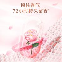立白（Liby） 香氛护衣护色 洗衣液 500g 混色（单位：袋）
