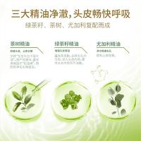 舒蕾 绿茶籽 精油洗发水 500ml(单位：瓶)