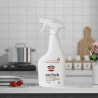 大嘴猴（Paul Frank） 净霸 厨房油污剂 500g（单位：瓶）