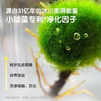 青蛙王子 无硅油弱酸性柔顺 儿童洗发露 500ml（单位：瓶）新老包装随机发货