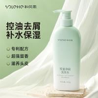 和风雨（Hefengyu） 控油净屑 洗发水 400g  （单位：瓶）
