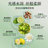100年润发（CENTAINE）羽感轻盈 养护发氨基酸洗发露 550ML（单位：瓶）新老包装随机发货