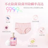 超能 泡沫内衣洗衣液 洗衣液 500g （单位:瓶）