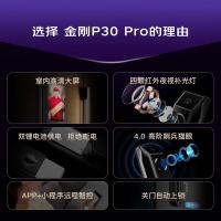 凯迪仕 P30 Pro 智能锁 指纹+密码(单位：个) 太空灰