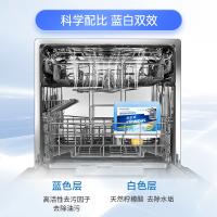 水卫仕（seaways） 洗碗机专用 机体清洁剂 250ml/瓶 (单位:瓶)
