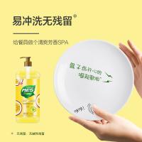 洁劲100 洗洁精 薄荷百香 1.6kg (单位:瓶)