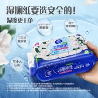 维达（Vinda） 湿厕纸 山茶花精华 私处清洁湿纸巾 80片/包*3包 (单位:组)