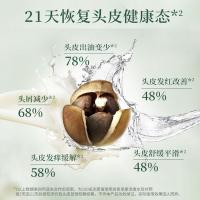 阿道夫（ADOLPH） 护发素 茶麸深养 350ml (单位:瓶)