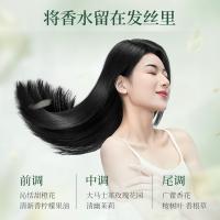 阿道夫（ADOLPH） 神兽山海经茶麸 护发素 350ml 绿色（单位：瓶）