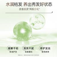 滋源（seeyoung） 无患子控油清爽 护发素 535ml 绿色（单位：瓶）