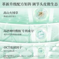 阿道夫（ADOLPH） 祛屑舒爽 洗发水 420ml(单位：瓶)