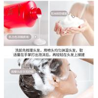 舒蕾 山茶花焗油莹亮洗发水 1000ml （单位：瓶）