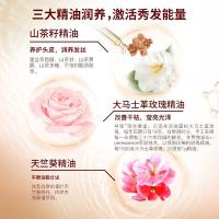 舒蕾 山茶花焗油莹亮洗发水 1000ml （单位：瓶）