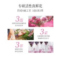 蔻斯汀 双舱姜花强韧丰盈 洗发水 500g（单位：瓶）